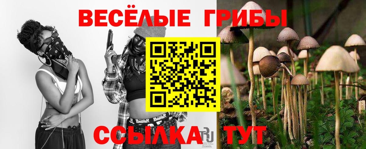Кировск  Псилоцибиновые грибы Psilocybine cubensis  Вход с VPN 